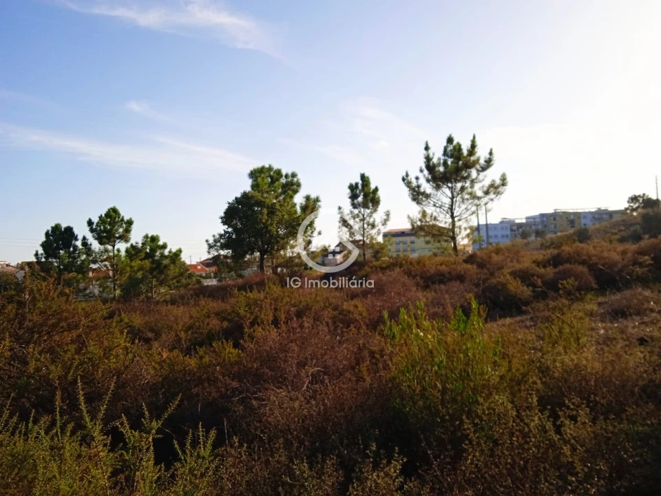 Terreno para Venda em Setubal (São Sebastião) Foto 15