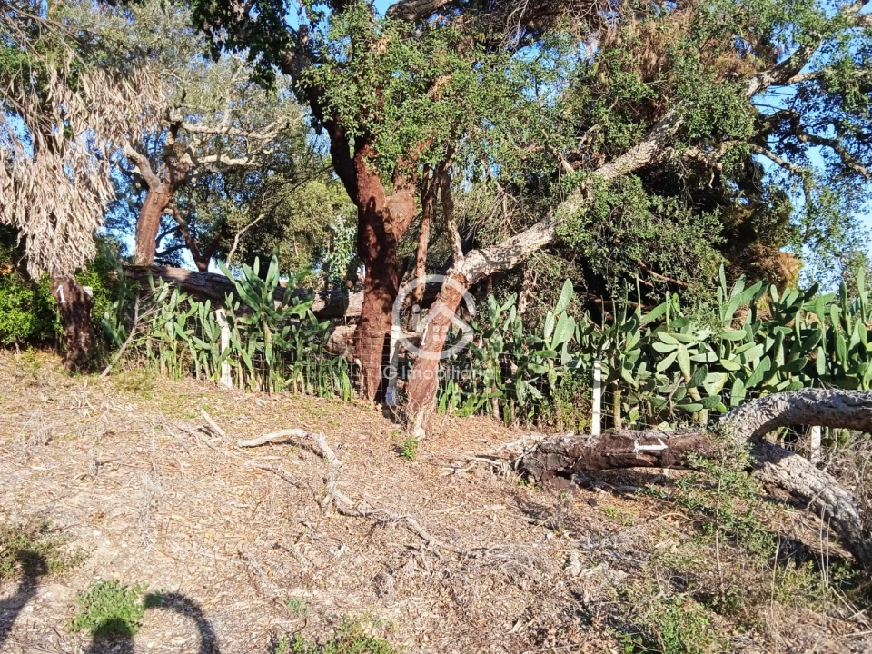 Terreno para Venda em Setubal (São Sebastião) Foto 1