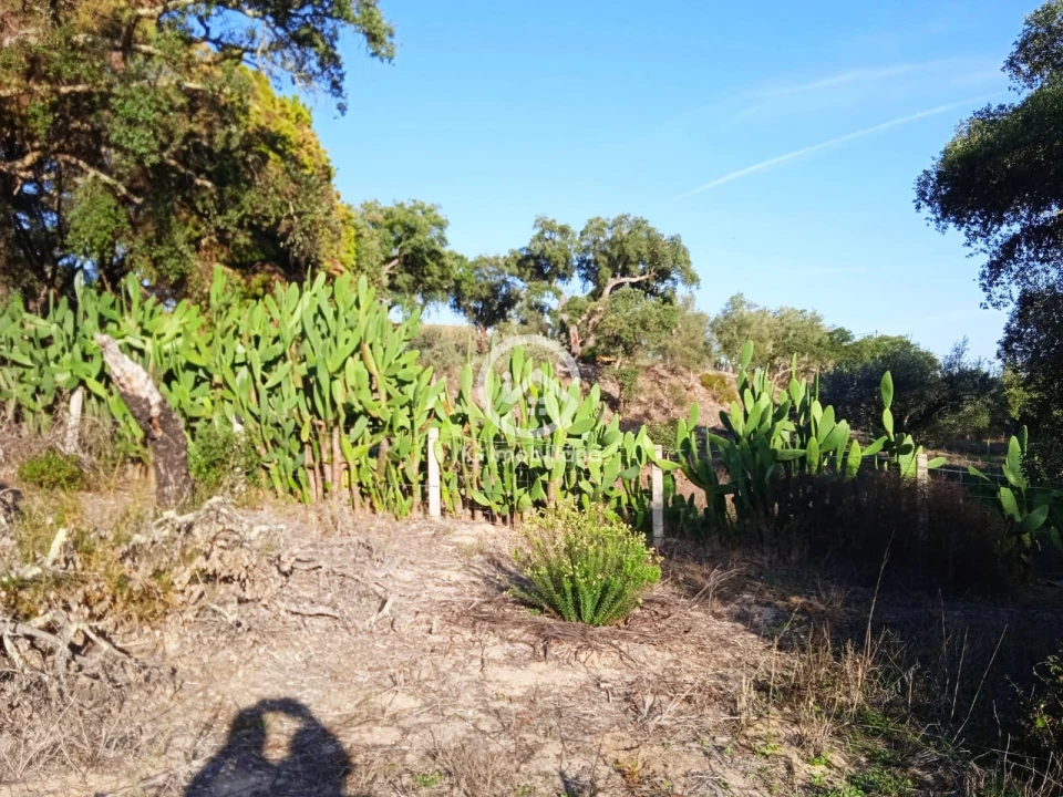 Terreno para Venda em Setubal (São Sebastião) Foto 4
