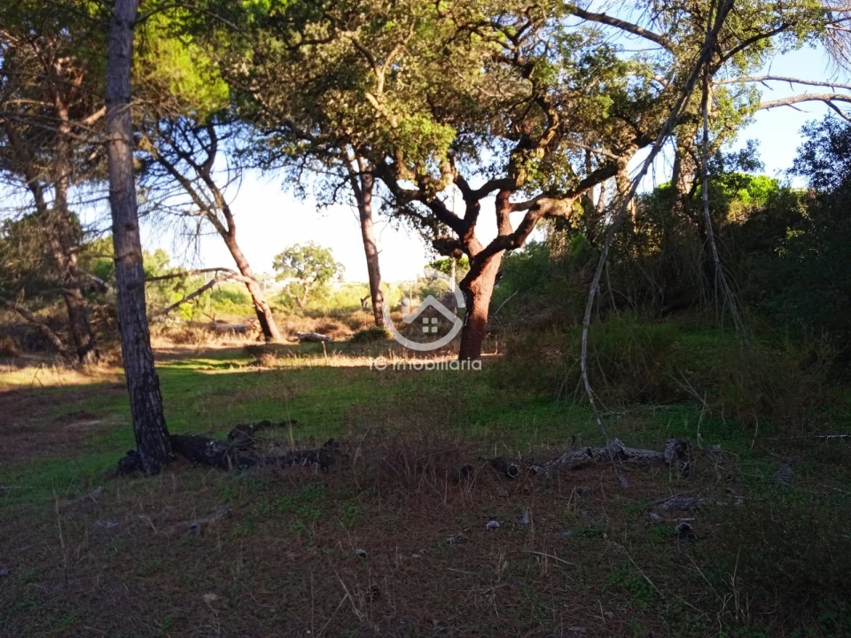 Terreno para Venda em Setubal (São Sebastião) Foto 12