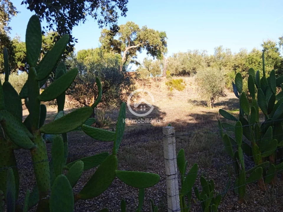 Terreno para Venda em Setubal (São Sebastião) Foto 7