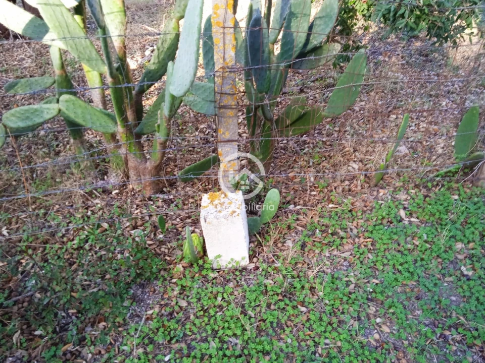 Terreno para Venda em Setubal (São Sebastião) Foto 11