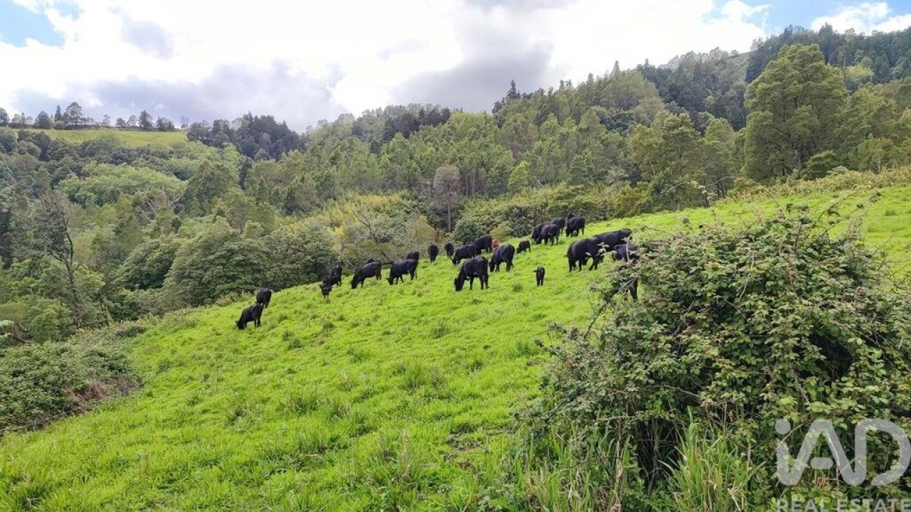 Terreno para Venda em Povoação Foto 15