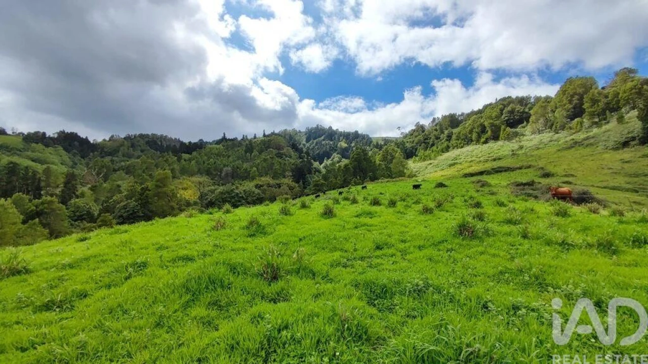 Terreno para Venda em Povoação Foto 6