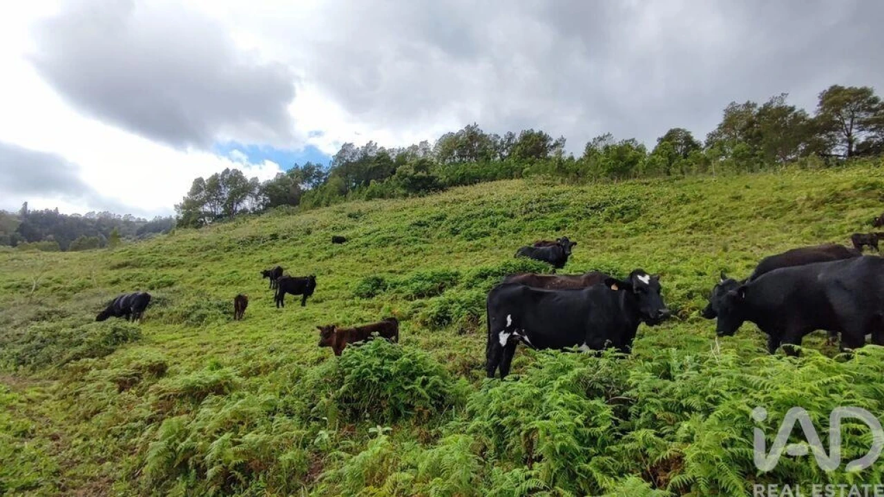Terreno para Venda em Povoação Foto 13