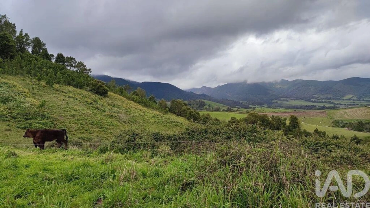 Terreno para Venda em Povoação Foto 10