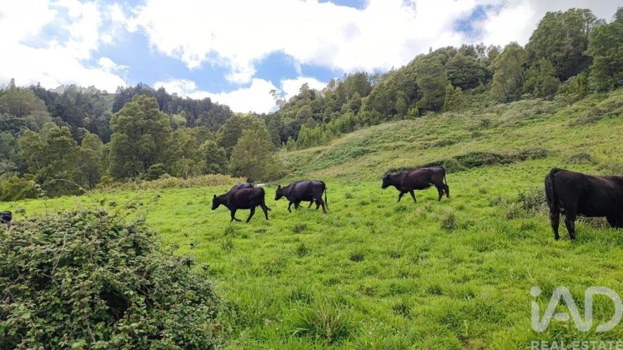 Terreno para Venda em Povoação Foto 8