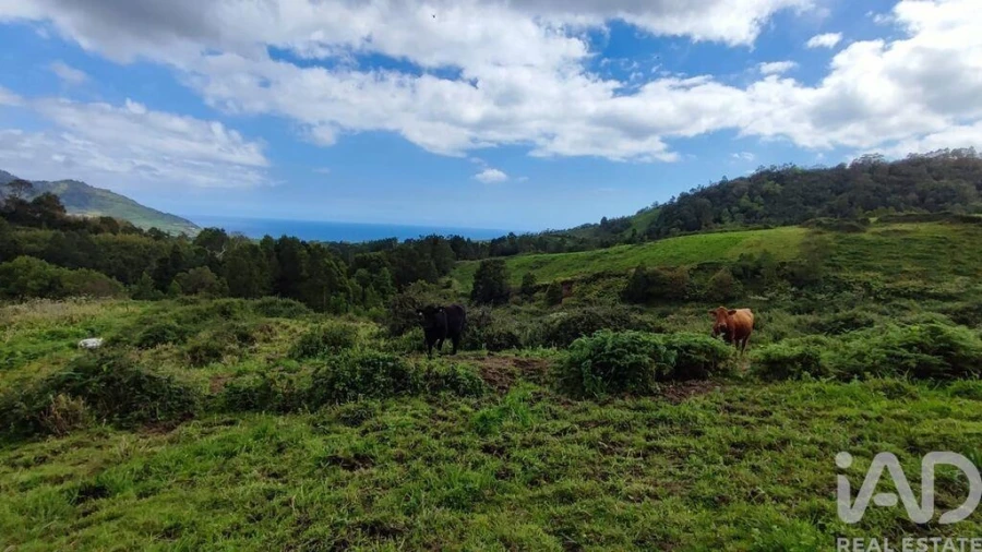 Terreno para Venda em Povoação Foto 4