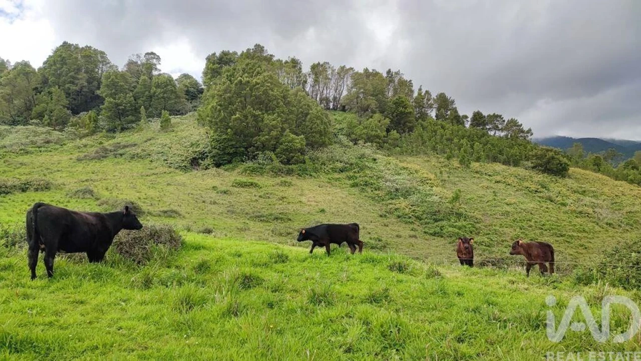 Terreno para Venda em Povoação Foto 2