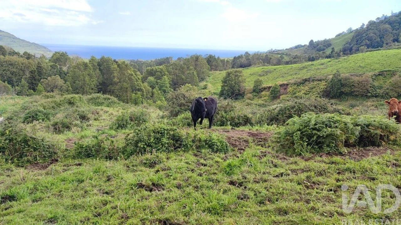 Terreno para Venda em Povoação Foto 5
