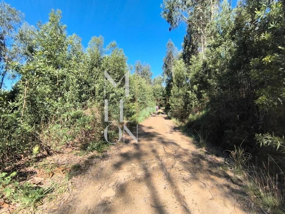 Terreno para Venda em Grijó e Sermonde Foto 3