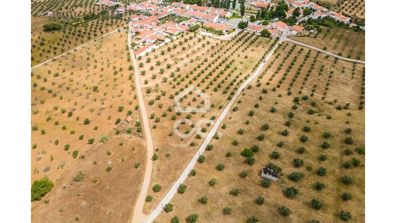 Terreno para Venda em Portel Foto 17