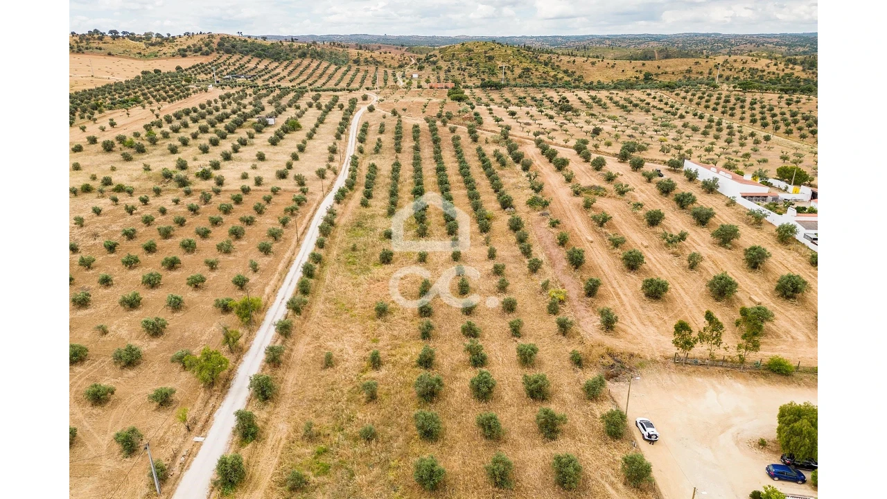 Terreno para Venda em Portel Foto 10