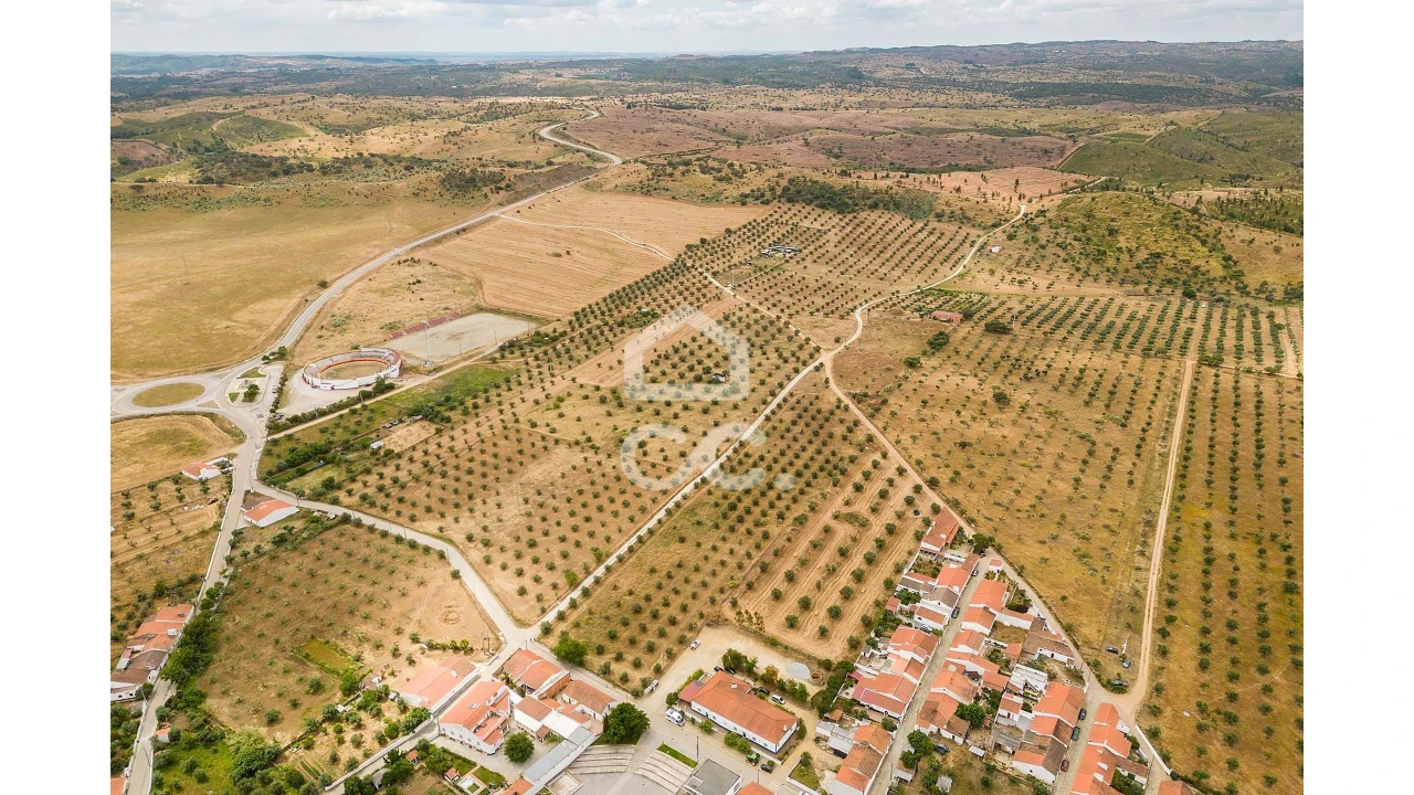 Terreno para Venda em Portel Foto 6