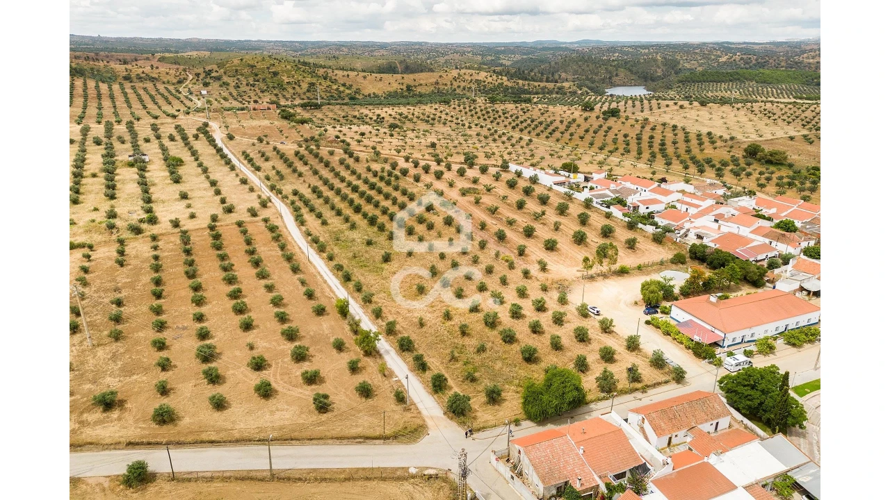 Terreno para Venda em Portel Foto 13
