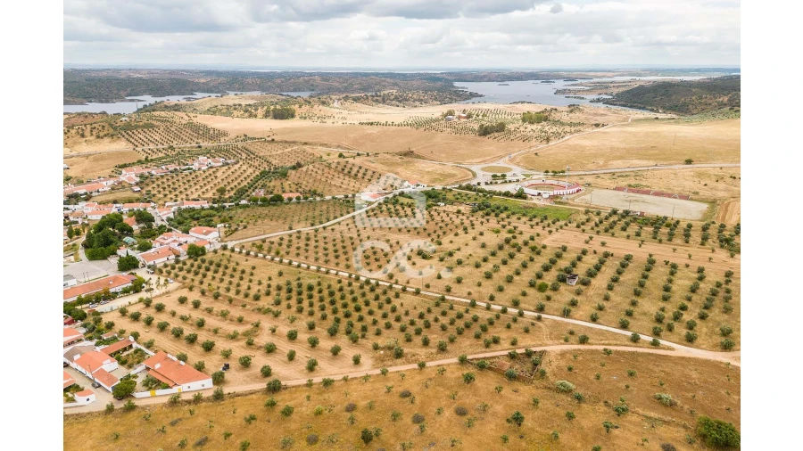 Terreno para Venda em Portel Foto 21