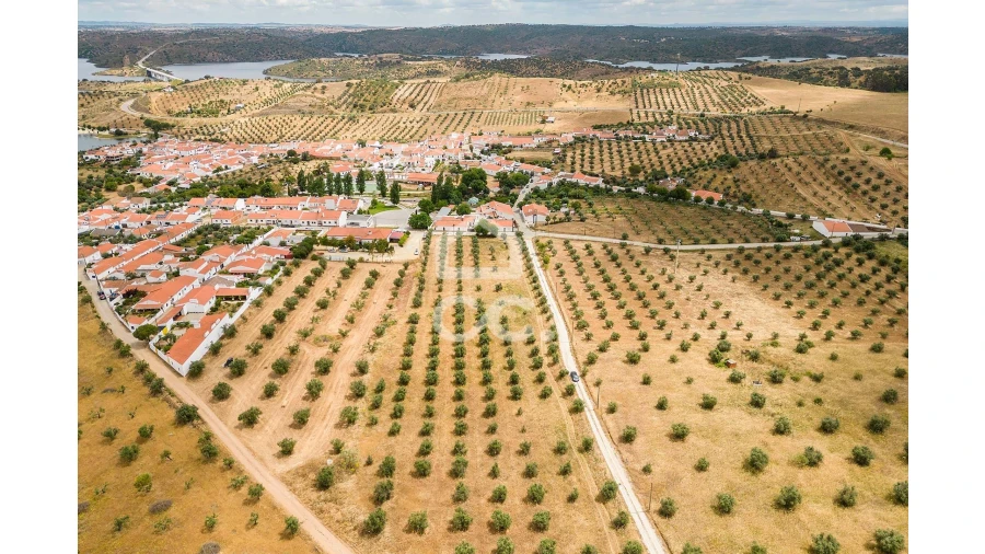 Terreno para Venda em Portel Foto 19