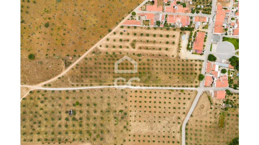 Terreno para Venda em Portel Foto 15