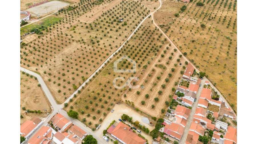 Terreno para Venda em Portel Foto 7