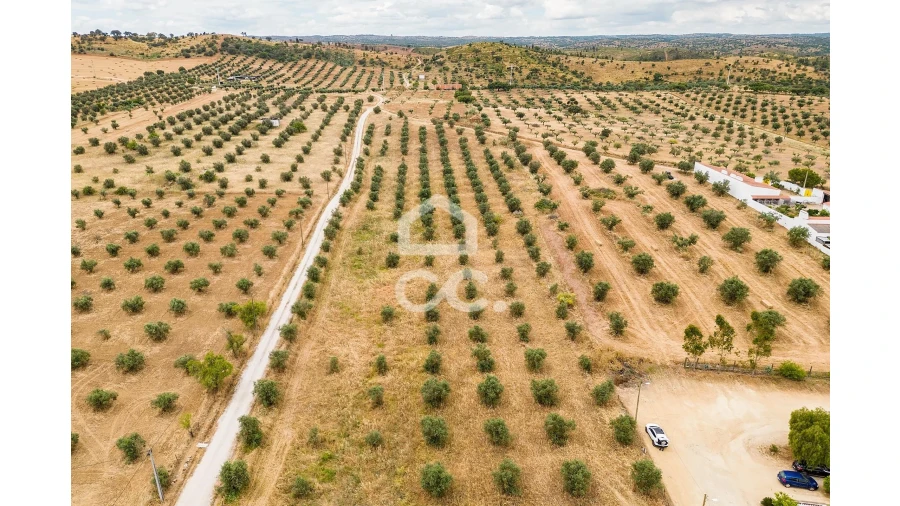 Terreno para Venda em Portel Foto 10