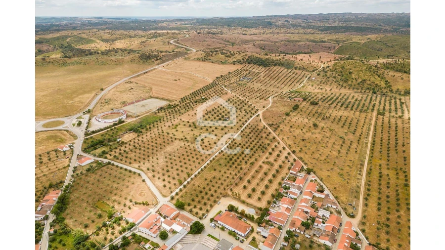 Terreno para Venda em Portel Foto 6