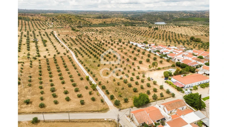 Terreno para Venda em Portel Foto 13