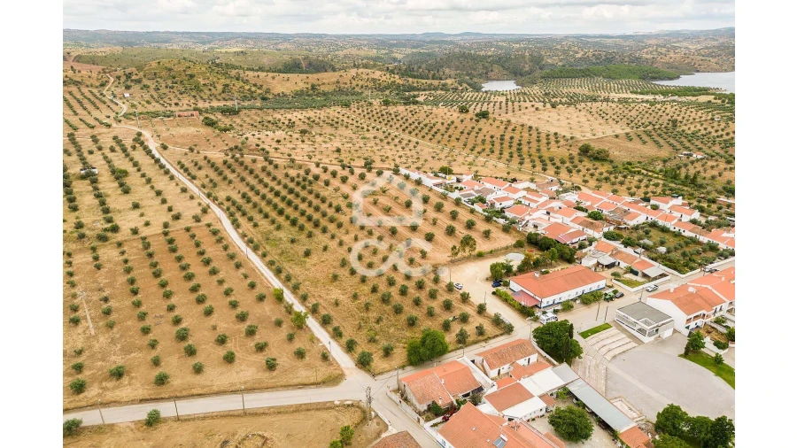 Terreno para Venda em Portel Foto 12