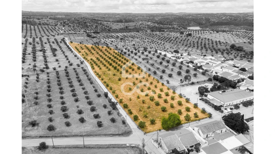 Terreno para Venda em Portel Foto 3
