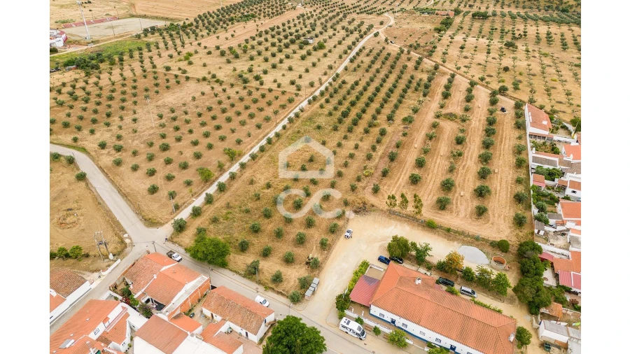 Terreno para Venda em Portel Foto 8