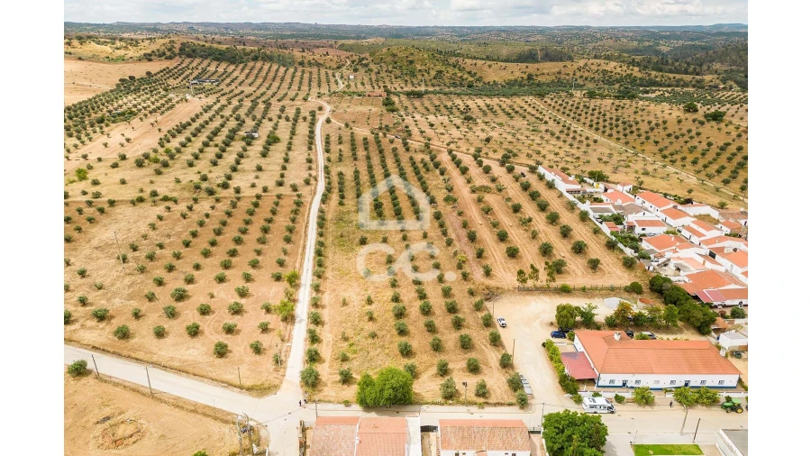 Terreno para Venda em Portel Foto 9