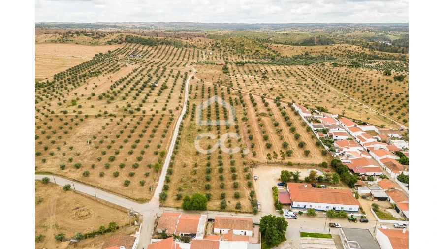Terreno para Venda em Portel Foto 4