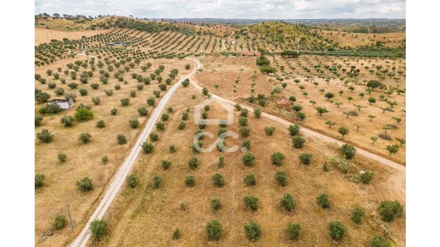 Terreno para Venda em Portel Foto 11