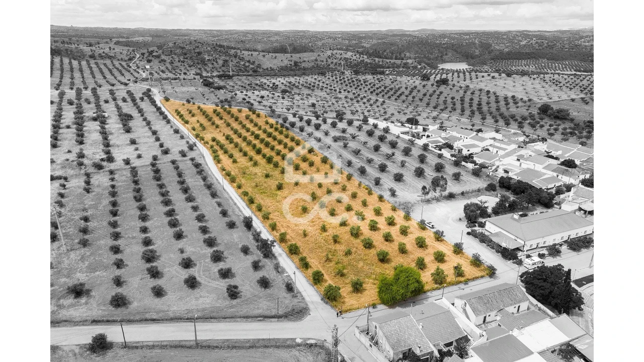 Terreno para Venda em Portel Foto 3