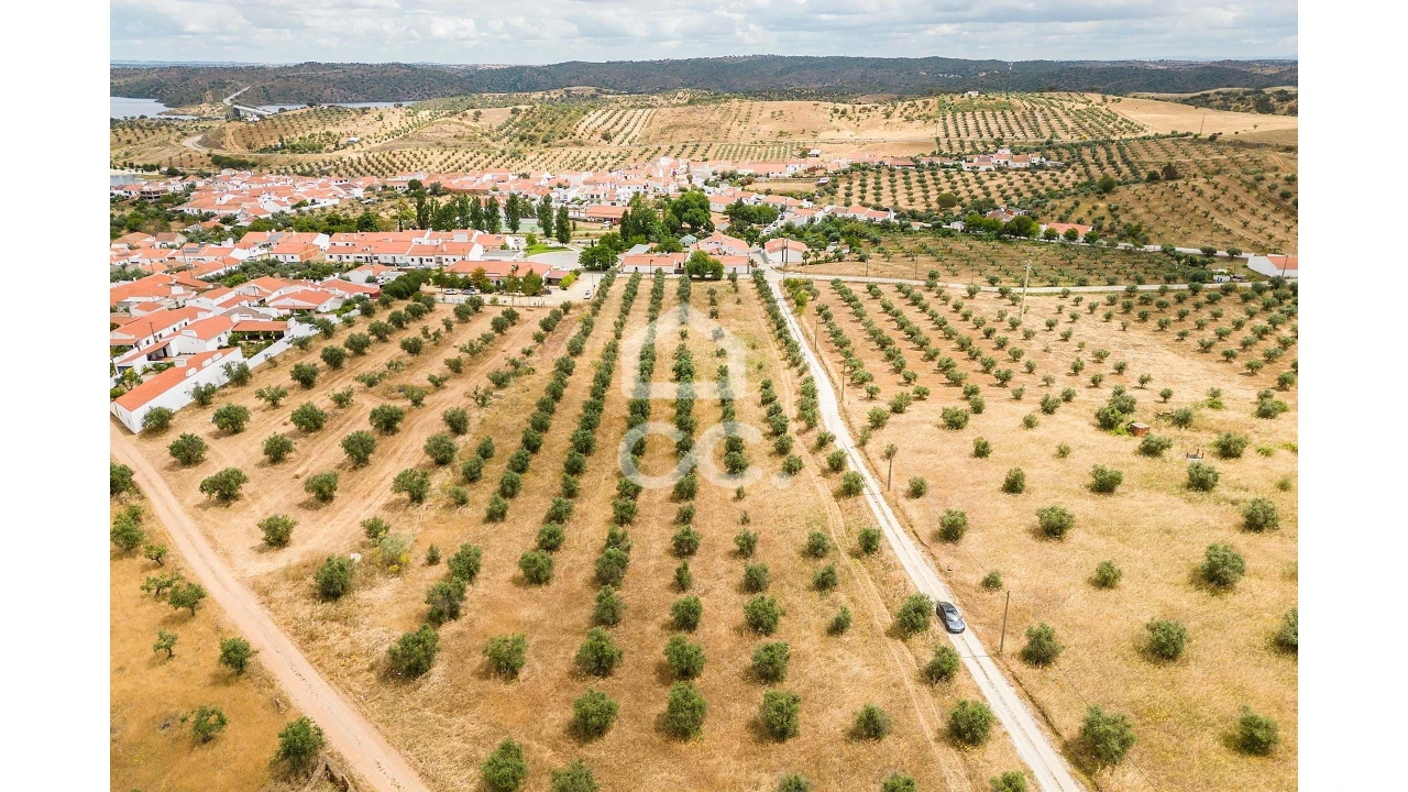 Terreno para Venda em Portel Foto 20