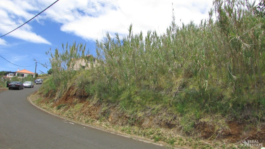 Terreno para Venda em Prazeres Foto 12