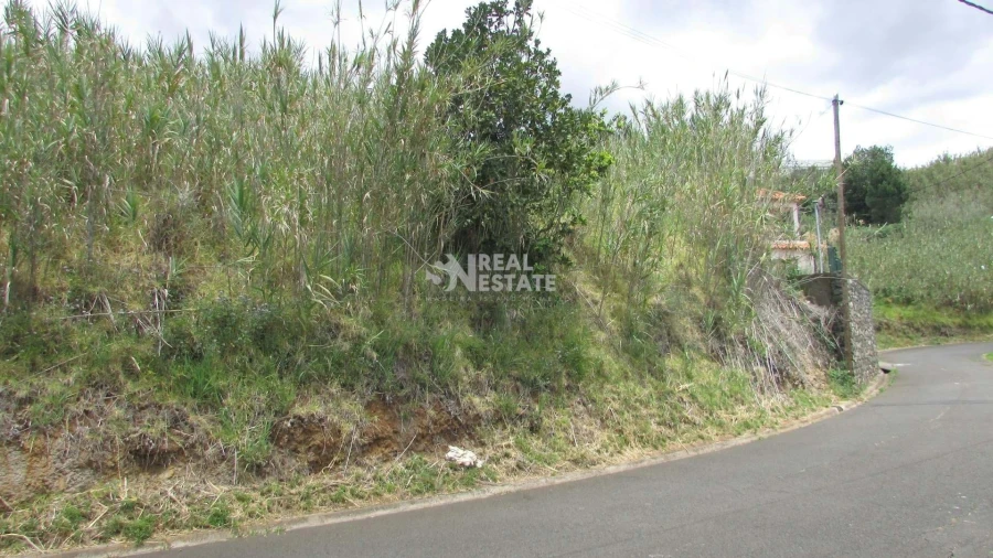 Terreno para Venda em Prazeres Foto 11