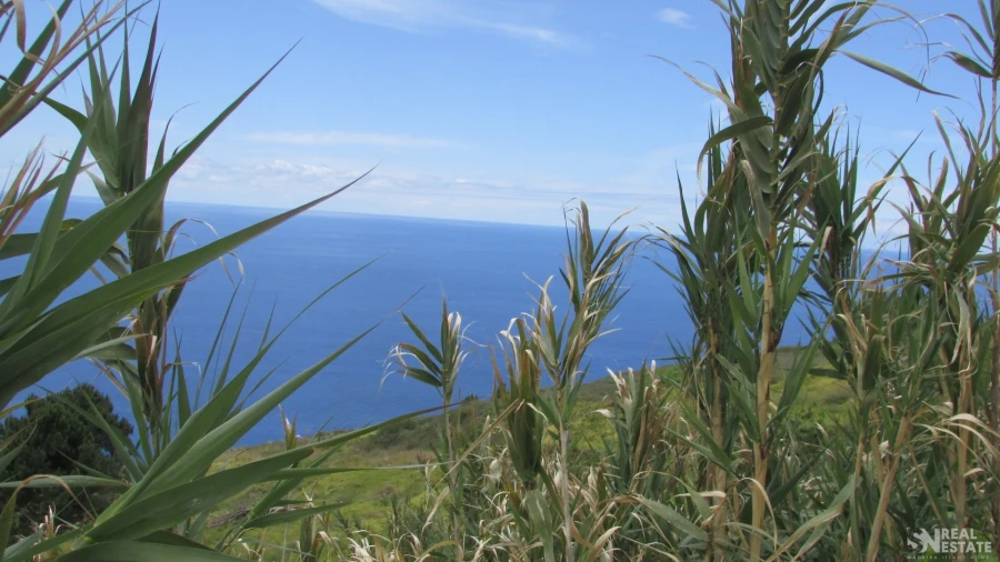 Terreno para Venda em Prazeres Foto 16