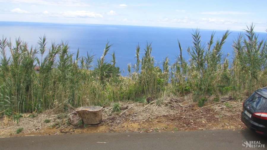 Terreno para Venda em Prazeres Foto 9
