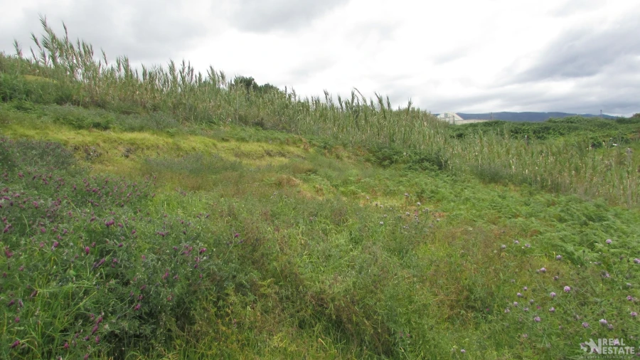 Terreno para Venda em Prazeres Foto 14