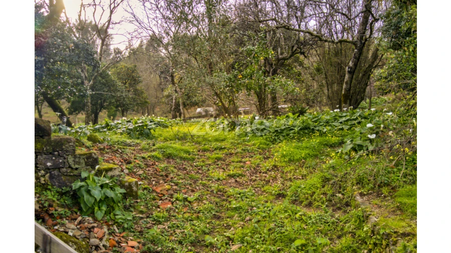 Moradia T4 para Venda em Ribeira do Neiva Foto 10