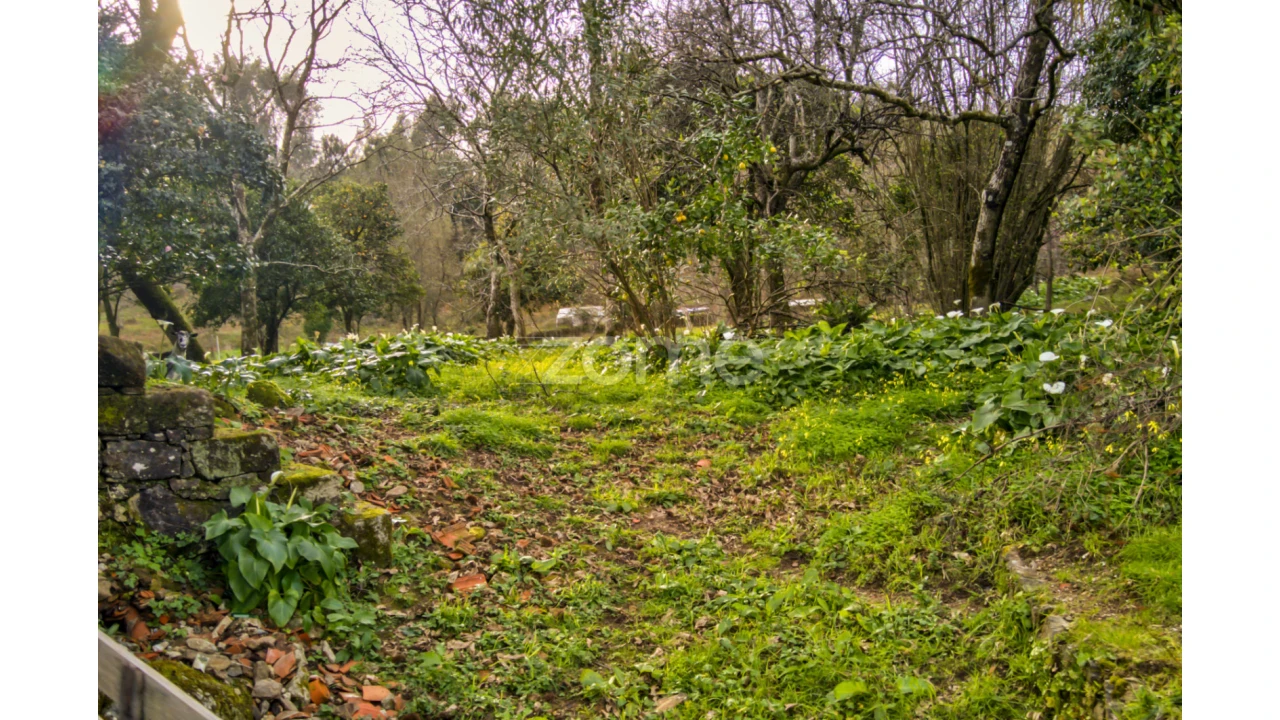 Moradia T4 para Venda em Ribeira do Neiva Foto 10