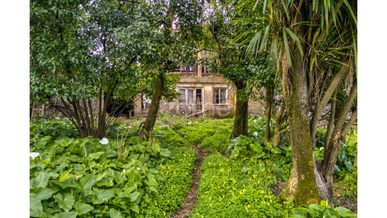 Moradia T4 para Venda em Ribeira do Neiva Foto 16