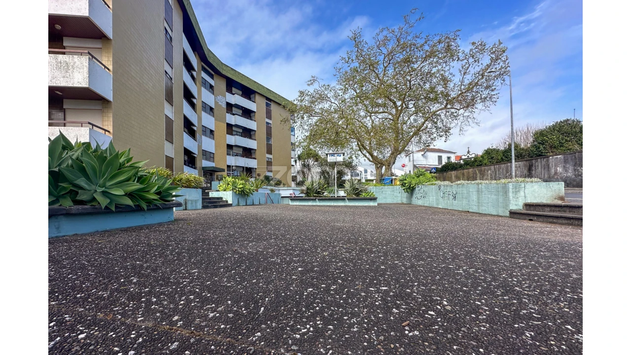 Negócio para Venda em Fajã de Baixo Foto 6