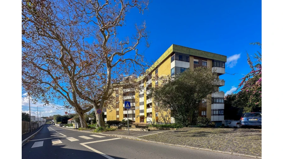 Negócio para Venda em Fajã de Baixo Foto 40