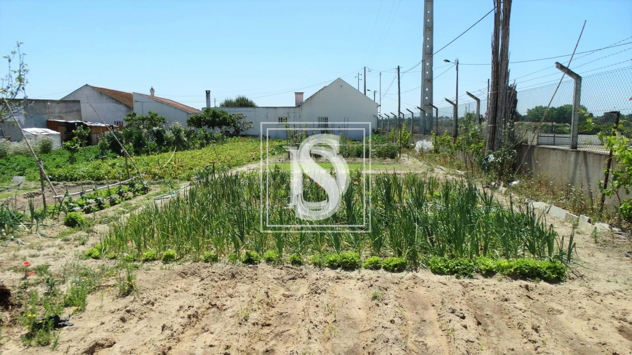 Terreno para Venda em Sarilhos Grandes Foto 3