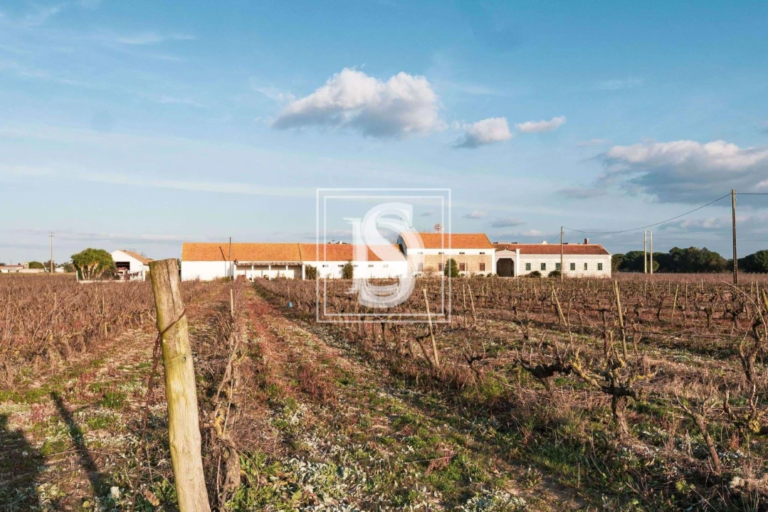 Quinta T3 para Venda em Poceirão e Marateca Foto 22