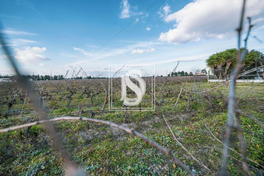 Quinta T3 para Venda em Poceirão e Marateca Foto 26