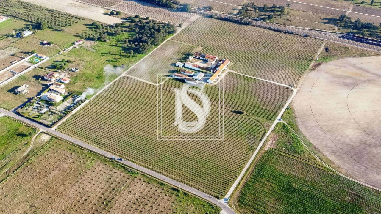 Quinta T3 para Venda em Poceirão e Marateca Foto 23