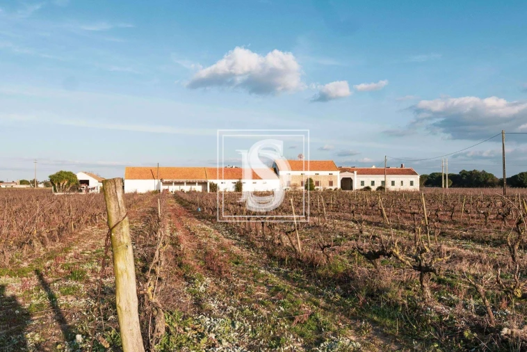 Quinta T3 para Venda em Poceirão e Marateca Foto 22