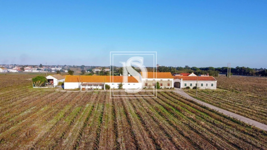 Quinta T3 para Venda em Poceirão e Marateca Foto 25